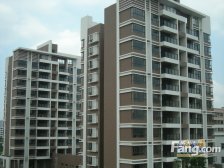 可以做40方左右小院子,南北对流,光线好。使用率高