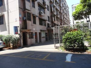 桂花路华天宿舍3室1厅南北