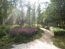 电梯入户平层大宅 带地下车位 四楼清水 有钥匙随时看