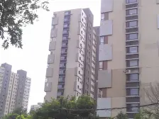 大华御庭 2室1厅 南