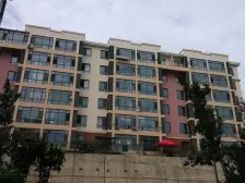 枫林绿洲 南北向 带电梯 标准两室一厅户型 价格可议