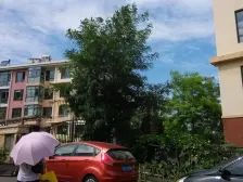 绿波商圈 知行 09年电梯 采光好 视野好