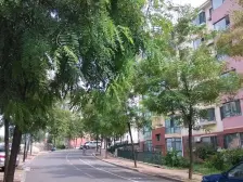 枫林绿洲(绿清南园) 2室1厅 南 北