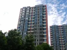 枫林绿洲 南北向 标准一室一厅户型 价格可议