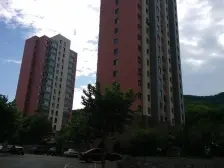 枫林绿洲 南北向 带电梯 标准两室一厅户型 价格可议