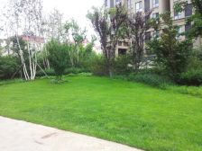 融科林语 4室1厅 南