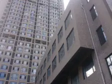 房主诚心出售 南向 两室 保持好