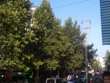 双新公寓 大平层 南北通透 中间楼层 户型方正