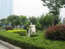 星海国宝 4室2厅 南 北