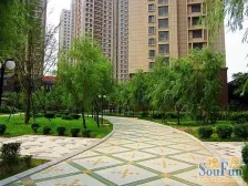 尚品天城 2室1厅 南