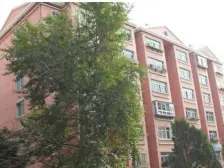 泡崖五区 2室1厅 南