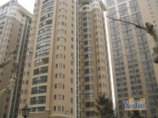 星河城 1室1厅 东