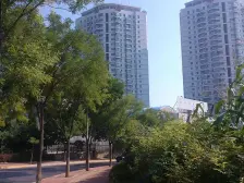 精装 方正 松 七 看房方便 能讲