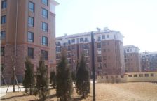 此房南北通厅通透 ,采光充足,视野宽广,带阁楼,