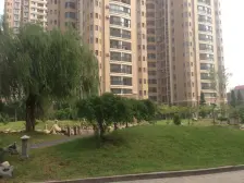 星河城 1室1厅 南