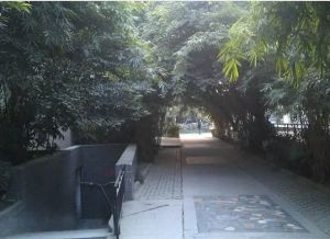 竹韵天府 3室1厅 东南