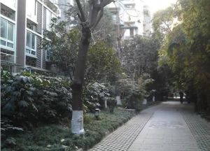 竹韵天府2室1厅东南