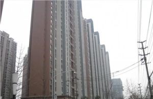 紫东芯座 3室1厅 南