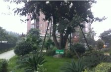 和谐家园 2室1厅 南