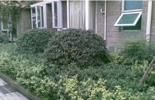 和谐家园 2室1厅 东南