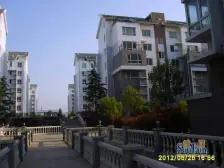 半岛蓝湾 楼层采光好 出门方便