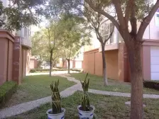 听涛花园 大平层 海景房 格局好 全明户型。。。