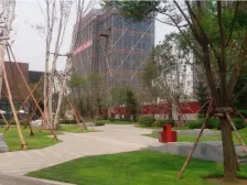 朗润园 3室1厅 南 北