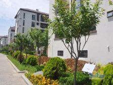 山语世家+1居室好房+房东急售