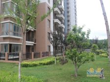 楼层好,不靠道,可看海,安静。