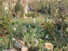 6层电梯洋房 带一个北院 动静分区 南北双阳台