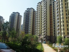 万泰,一楼带地下一层,不潮,好房,价低