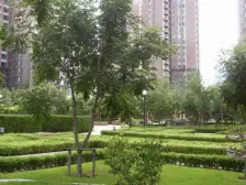 大连明珠 业主二次装修了 看海大平层 带车位