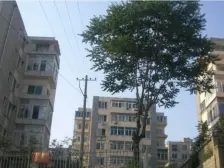 景山小区高原街无坡好房 户型好 视野佳