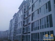三居双卫,板楼一层两户,停车方便有停车位,