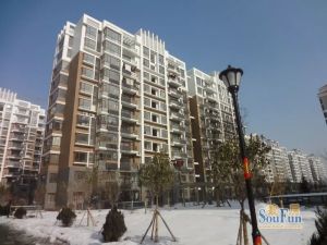 小高层 视野开阔 不临街不靠道 满两年