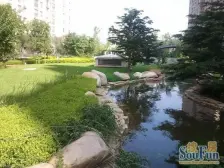 西山湖 跃层 精装 小区前排 视野开阔