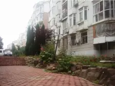 鹏顺园 2室2厅 南 北