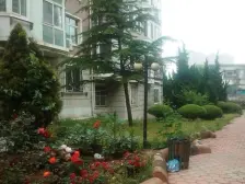 格致 中间楼层 南北通透 三室两卫好房