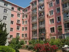 泡崖市场 成熟商圈 经典田字格 南向光线好 房款少