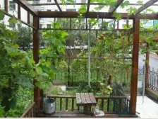 联排叠拼 上下四层 有车库有院子 房源不多