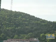 此房西打头靠山近 空气清新 安静舒适 好楼层 采光充足