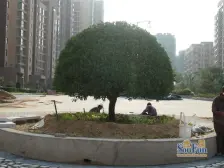 满2年无大税,楼层好,视野好。