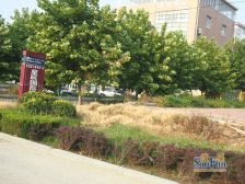 东海岸书香府第3室2厅南北