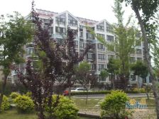 上尧花园 3室2厅 南 北