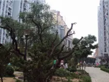 华宇凤凰城得房率高上下两层采光好视野佳交通便利