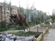 海琴湾 毛坯房 高楼层 看海效果好 南北通透三居室