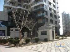 振华海景大平层,好楼层,视野好,一线海景