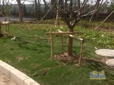 海滨假日花园小区 3室1厅 南 北