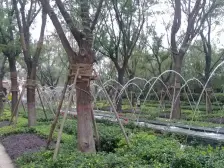 南北通透 无个税 拎包入住 中间位置 采光充足