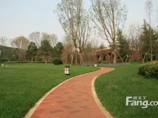 四叶草户型,方正大四居户型,中高楼层,采光好